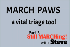 MARCH PAWS Pt 3 - Still MARCHing!
