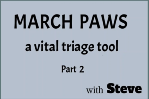 MARCH PAWS a vital triage tool Pt 2