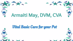 Dr Armaiti May Veterinarian Basic Care for Pets
