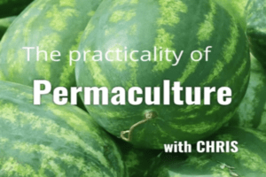 Permaculture with Chris