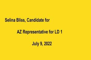 Selina Bliss- Candidate AZ Rep LD1 7 09 22
