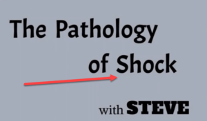 The Pathology of Shock with Steve